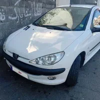 ۲۰۶ تیپ دو ۶۰ تا کار واقعی بی رنگ