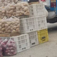 سبد ۲۰کیلویی سفید