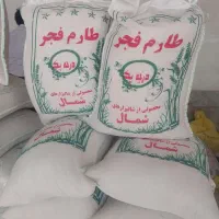 برنج|خوردنی و آشامیدنی|گلپایگان, |دیوار