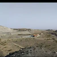 باغ و زمین انگور تفرجی