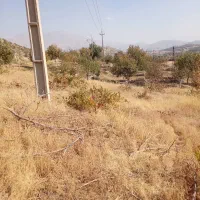 ۳هزار متر زمین کشاورزی روی خیابان اصلی|فروش زمین و ملک کلنگی|مریوان, |دیوار