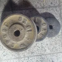 وزنه هالتر