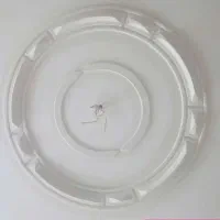 گچ کاری وسفید کاری|خدمات پیشه و مهارت|میاندوآب, |دیوار