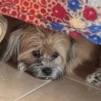 قیمت مناسب