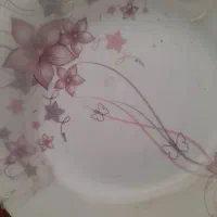 ظروف  ارکوپال|ظروف سرو و پذیرایی|مشهد, طبرسی شمالی|دیوار