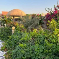 ویلا دزفول امکان رزرو حضوری|اجارهٔ کوتاهمدت ویلا و باغ|اهواز, کوروش|دیوار