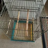 قفس پرنده
