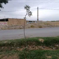 زمین-آماده-ساخت-در-شهر-سامن