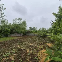 زمین-باغی-300متری-رشت-فومن-شفت