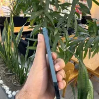 آیفون 12 پرومکس pro max|موبایل|فولادشهر, B4|دیوار