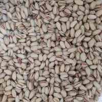 خرید و فروش پسته بالاترین قیمت