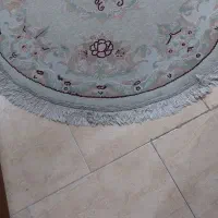 فرش ماشینی|فرش|بندرعباس, |دیوار