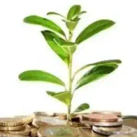 نیاز به سرمایه گذار با سود ماهیانه