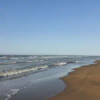 راهنمایی فنی