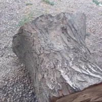 کنده چوب گردو مناسب کبابی