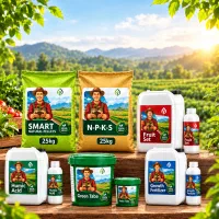 کود باسیلوس اصل/ رشد انفجاری ریشه های گیاه