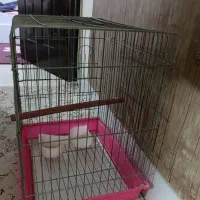 قفس پرنده|لوازم جانبی حیوانات|گرمسار, |دیوار