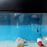 آکواریوم بزرگ با تمام وسایل ،بدون ماهی