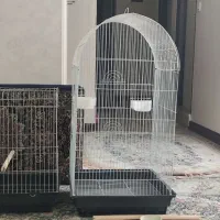 قفس پرنده