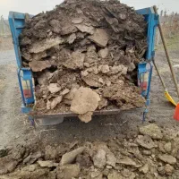 کود حیوانی گوسفند