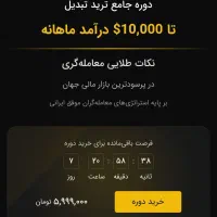 کار در منزل  درآمد دلاری