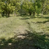علف زنی باغ و چمن