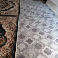 پالاز موکت|موکت|دزفول, |دیوار