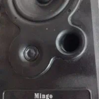 باند پایونر