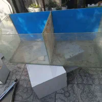 اکواریوم|ماهی|مشهد, پروین اعتصامی|دیوار