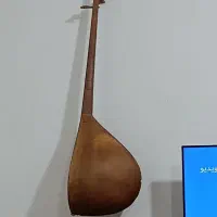 دوتار تربت جام|سازهای سنتی|مشهد, توس فردوسی|دیوار