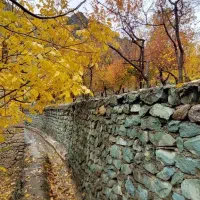 باغ ویلا بادرختان قدیمی سند تکبرگ جاده چالوس|فروش خانه و ویلا|تهران, فرحزاد|دیوار