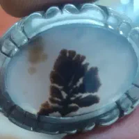 انگشتر شجر طبیعی