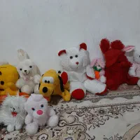 تعدادی عروسک فروشی|اسباب‌‌بازی|کرمانشاه, |دیوار