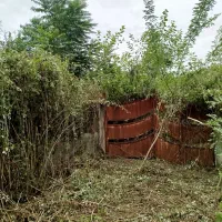 قطع و خرید درخت، علفتراشی به صورت تخصصی قیمت مناسب|خدمات باغبانی و درختکاری|تنکابن, |دیوار