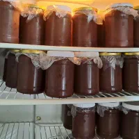 رب آلوچه|خوردنی و آشامیدنی|رشت, جانبازان|دیوار