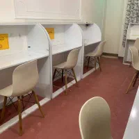 سالن مطالعه دخترانه گل نرگس|خدمات آموزشی|زابل, |دیوار