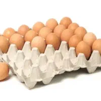 پخش تخم مرغ شانه ای و کارتنی عمده و تک
