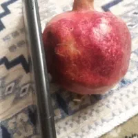 سامسونگ a01|موبایل|تهران, جوادیه تهرانپارس|دیوار