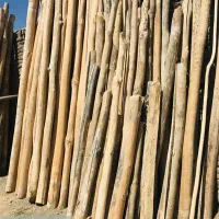 ۱۰ تا تیر چوبی