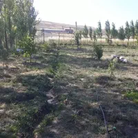 باغ|فروش زمین و ملک کلنگی|نمین, |دیوار