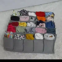 نظم دهنده