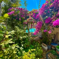 ویلاباغ۴۶۰متری/بافت/سند/استخر/همصفا|فروش خانه و ویلا|چمستان, |دیوار