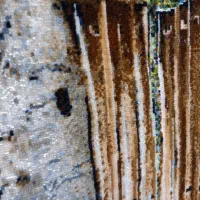 تابلو فرش تبریزی|تابلو فرش|شیراز, شهرک گلستان شمالی|دیوار