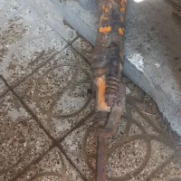 پیکور بادی