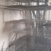 قفس بلدرچین