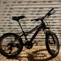 دوچرخه سایز ۲۰