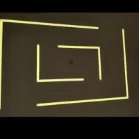 نصب و فروش لاین نوری|لامپ و چراغ|قدس, شهرقدس|دیوار