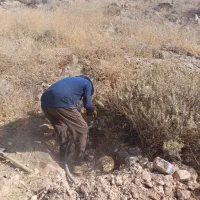 اجاره کمپرسور باد|ماشین‌آلات صنعتی|شیراز, ابیوردی|دیوار