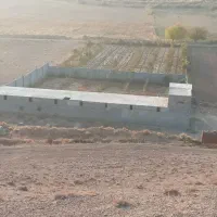 فروش دامداری