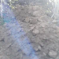 کود گوسفندی